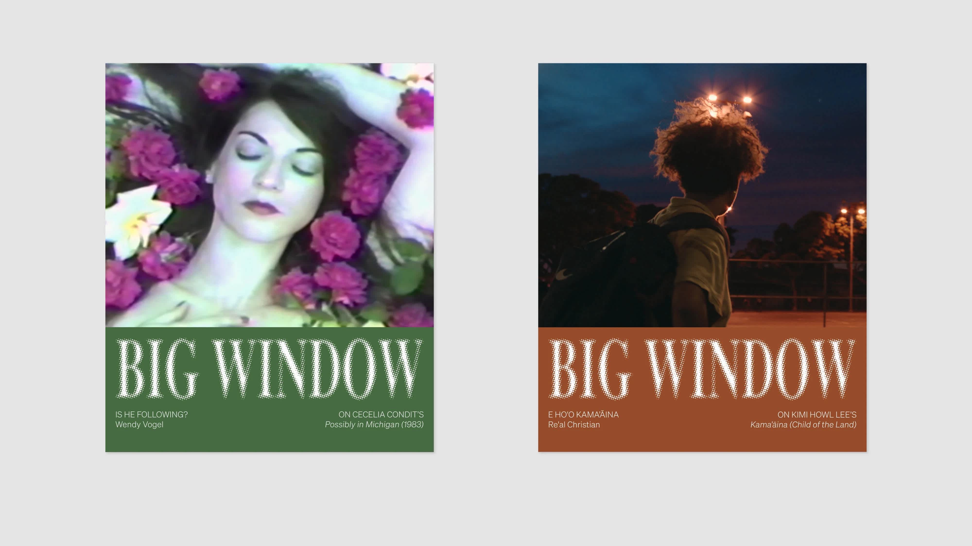 Two colorful square images on a light gray background. The left image is green and pink, a woman's face and arm are surrounded by flowers. The right image is orange and blue, a young boy's head is turned away from the camera and toward an open, lit field. Both images have the text "Big Window" at the bottom.