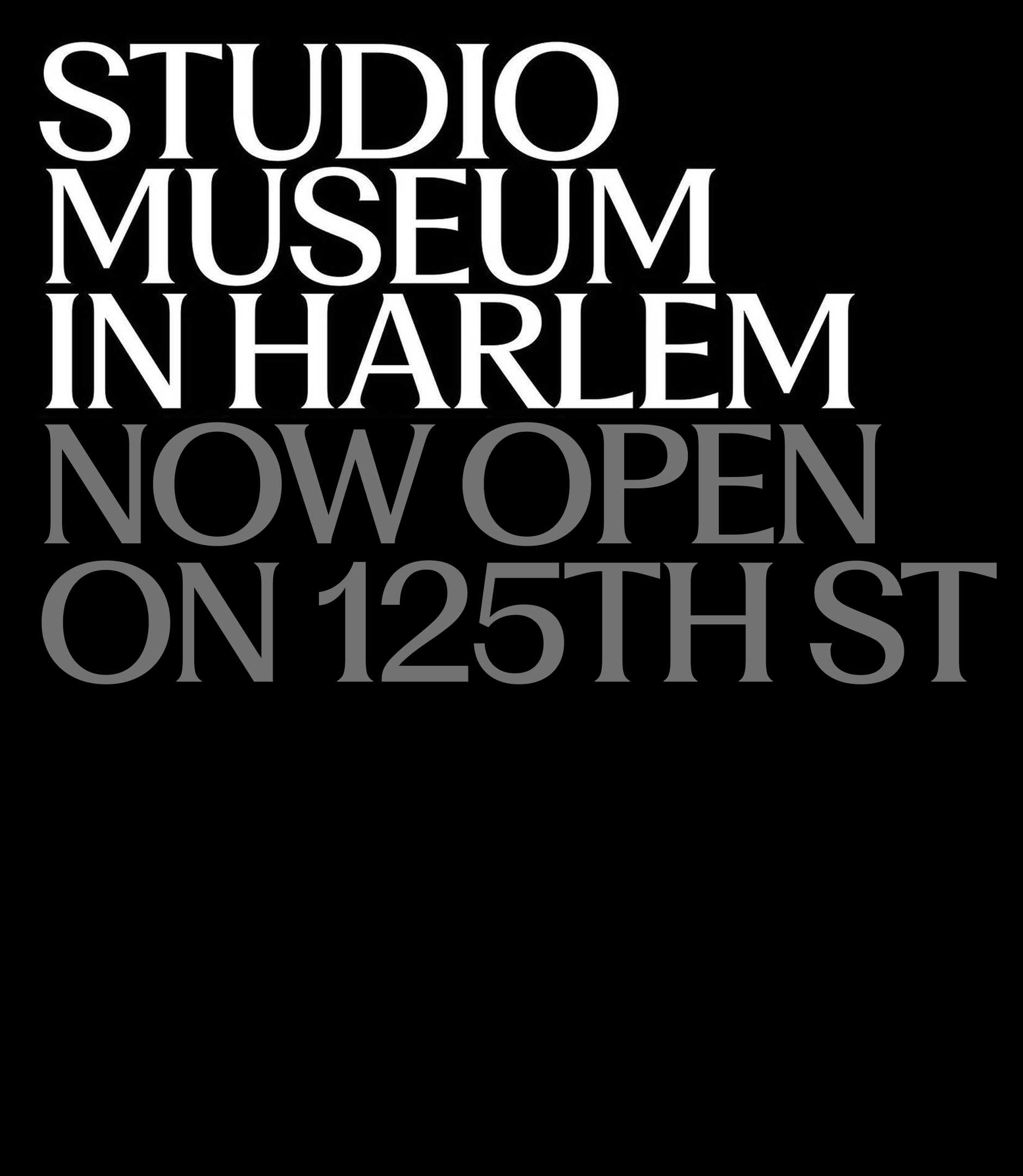 Studio Museum in Harlem Now Open
