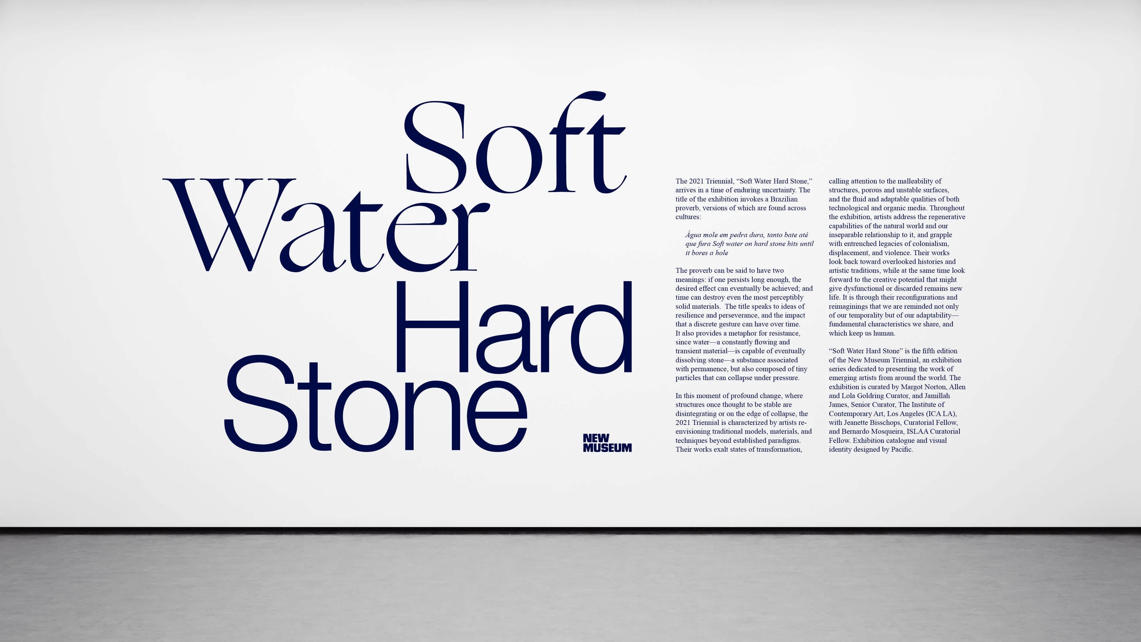 White exhibition wall with dark blue title and wall text.