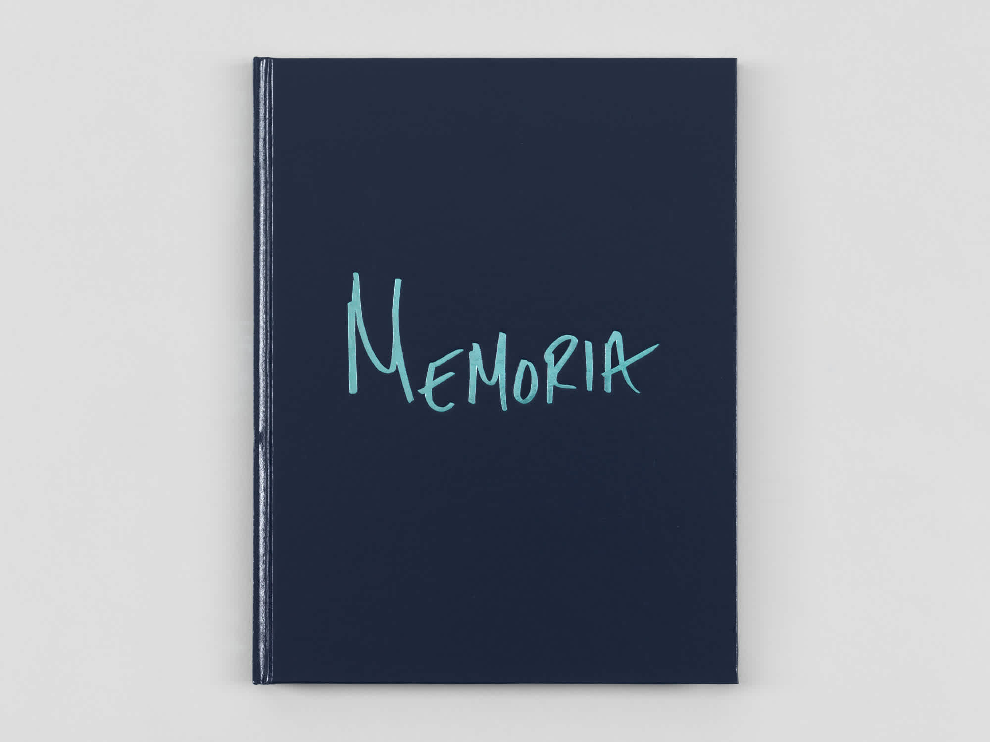 Navy blue book cover with light blue font.
