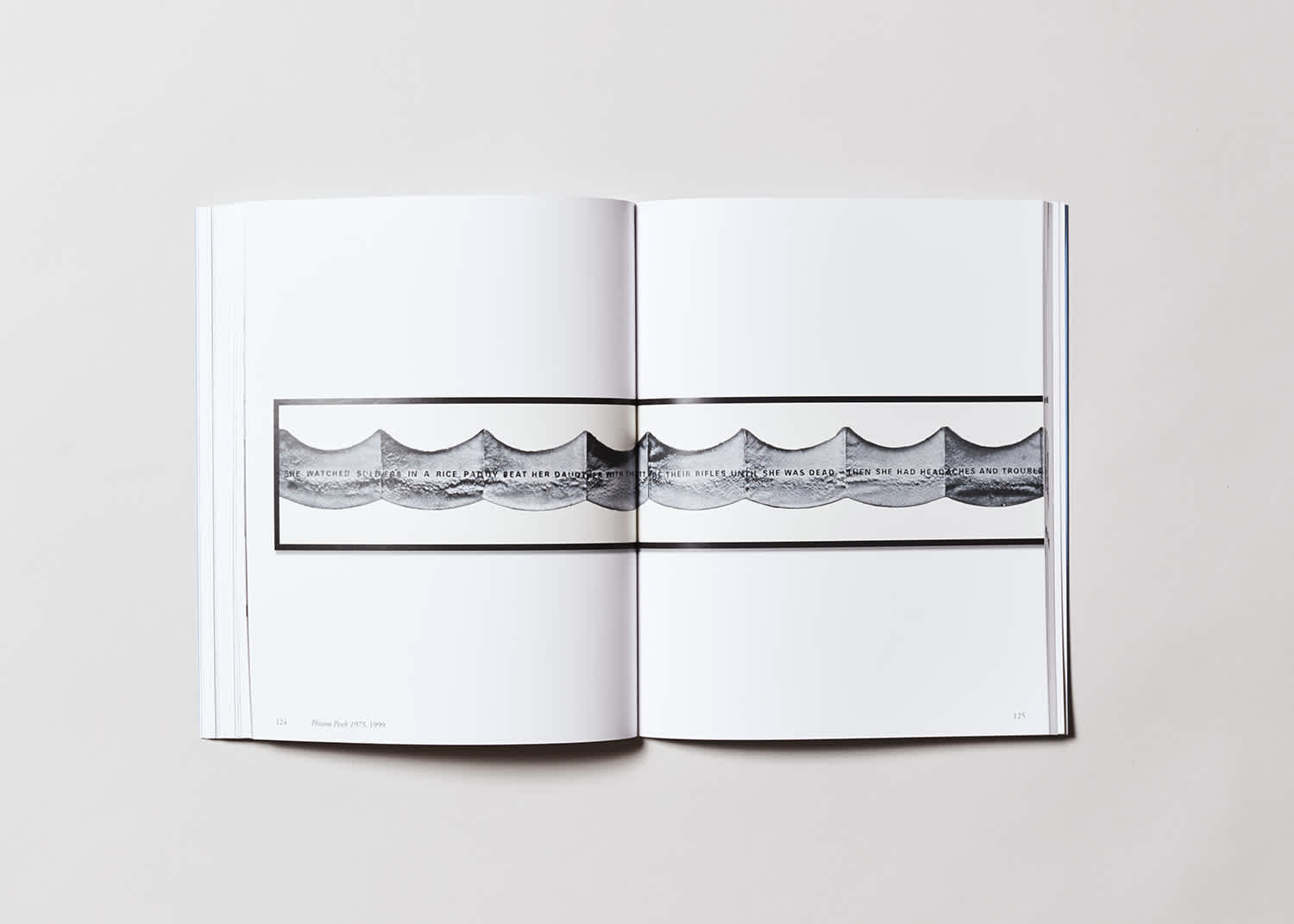 An open book with a long, framed artwork stretching across the center of both pages.