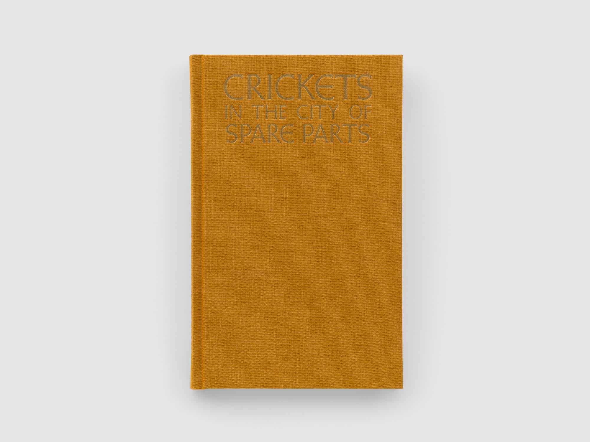 Burnt orange book cover with gold embossed title at the top.