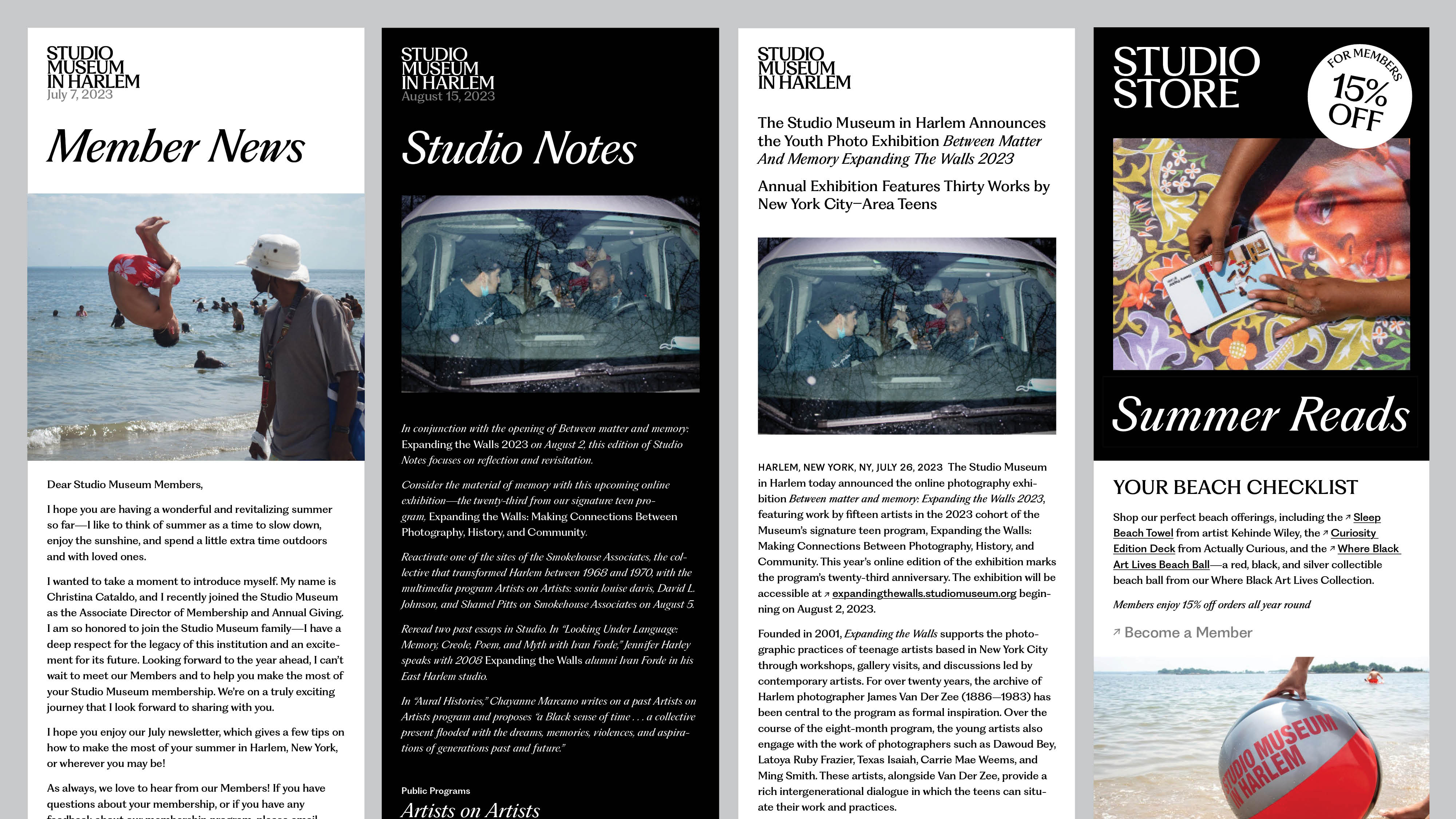 STUDIO MUSEUM IN HARLEM CASE STUDY EMAIL NEWS TEMPLATES