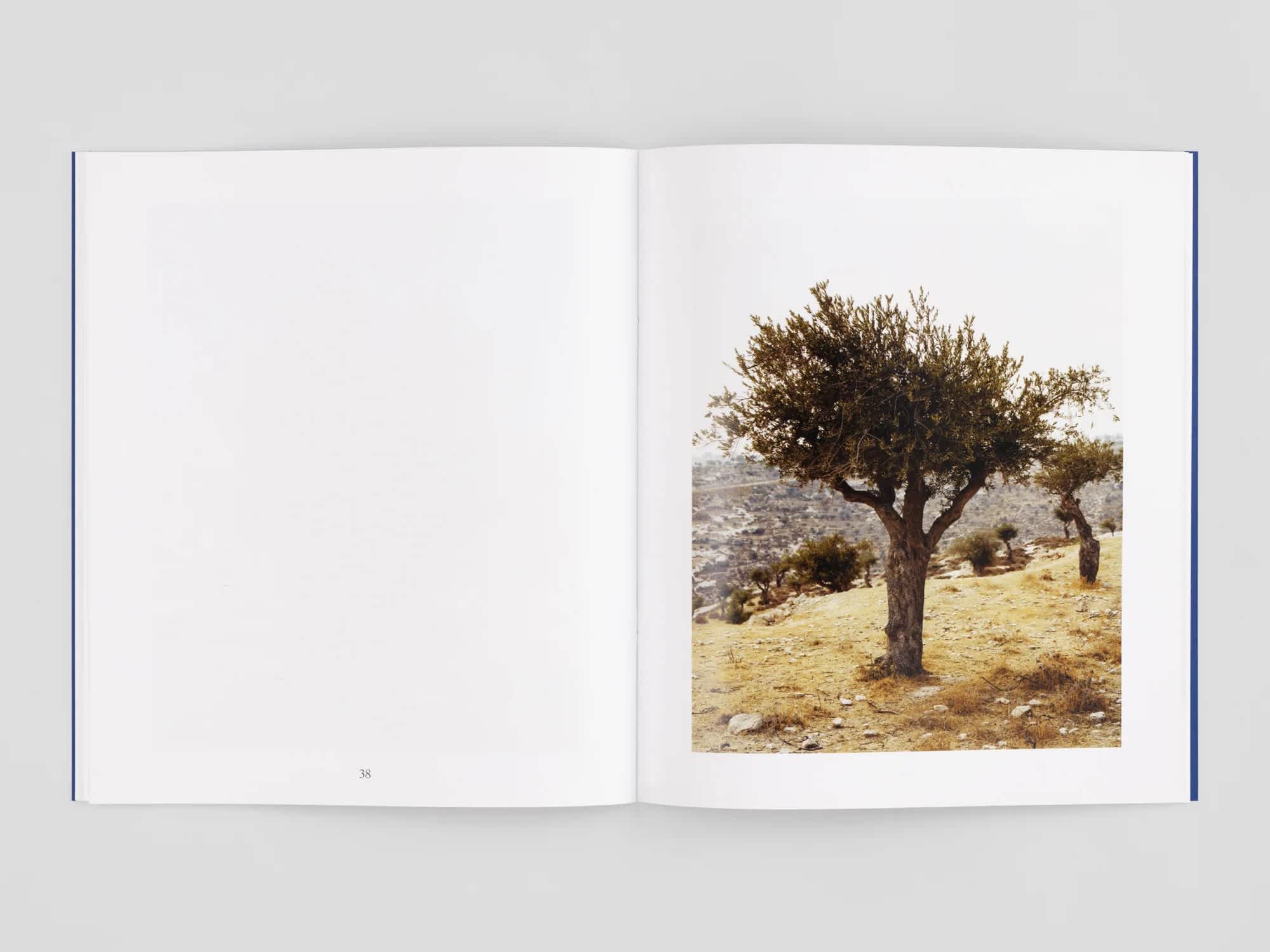 An open book with a photograph of a singular tree on the right page.