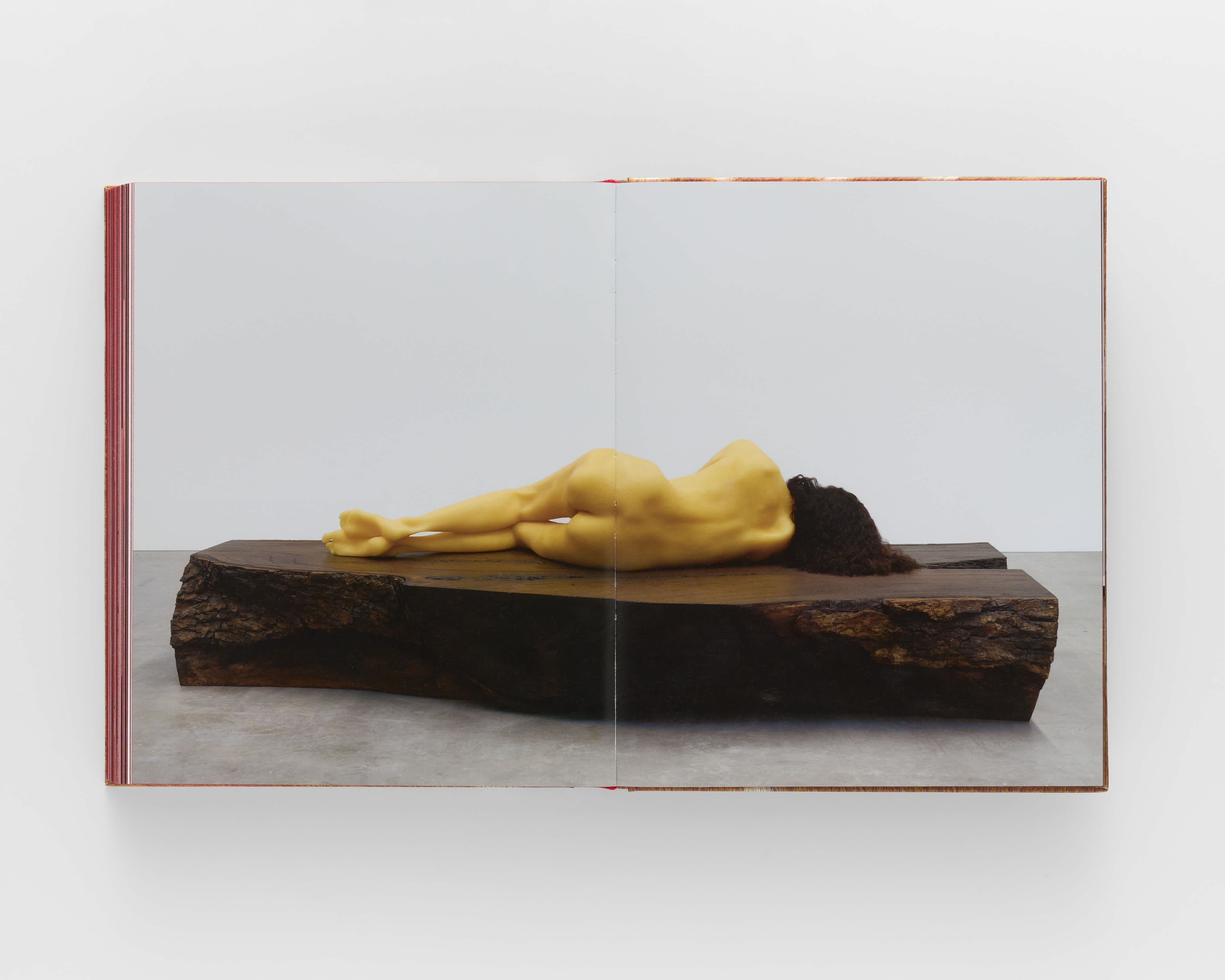 An open book with a full-bleed centerfold image of a sculpture of a human body laying on top of a slab of dark wood. The body is cast in yellow-wax. Its back faces away from the viewer and its only feature is a crop of short black hair. 