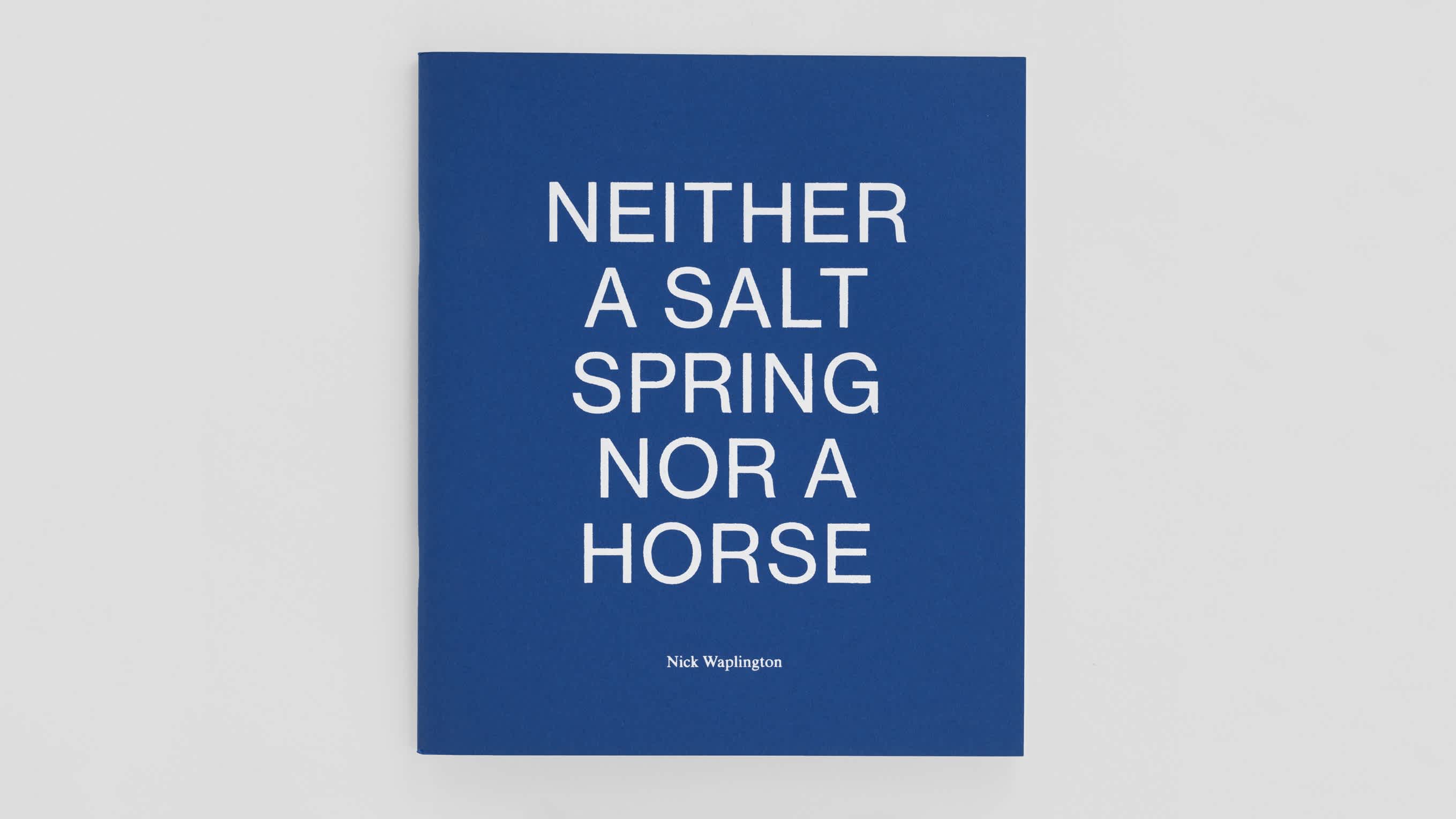 A blue book cover with white, sans serif lettering.