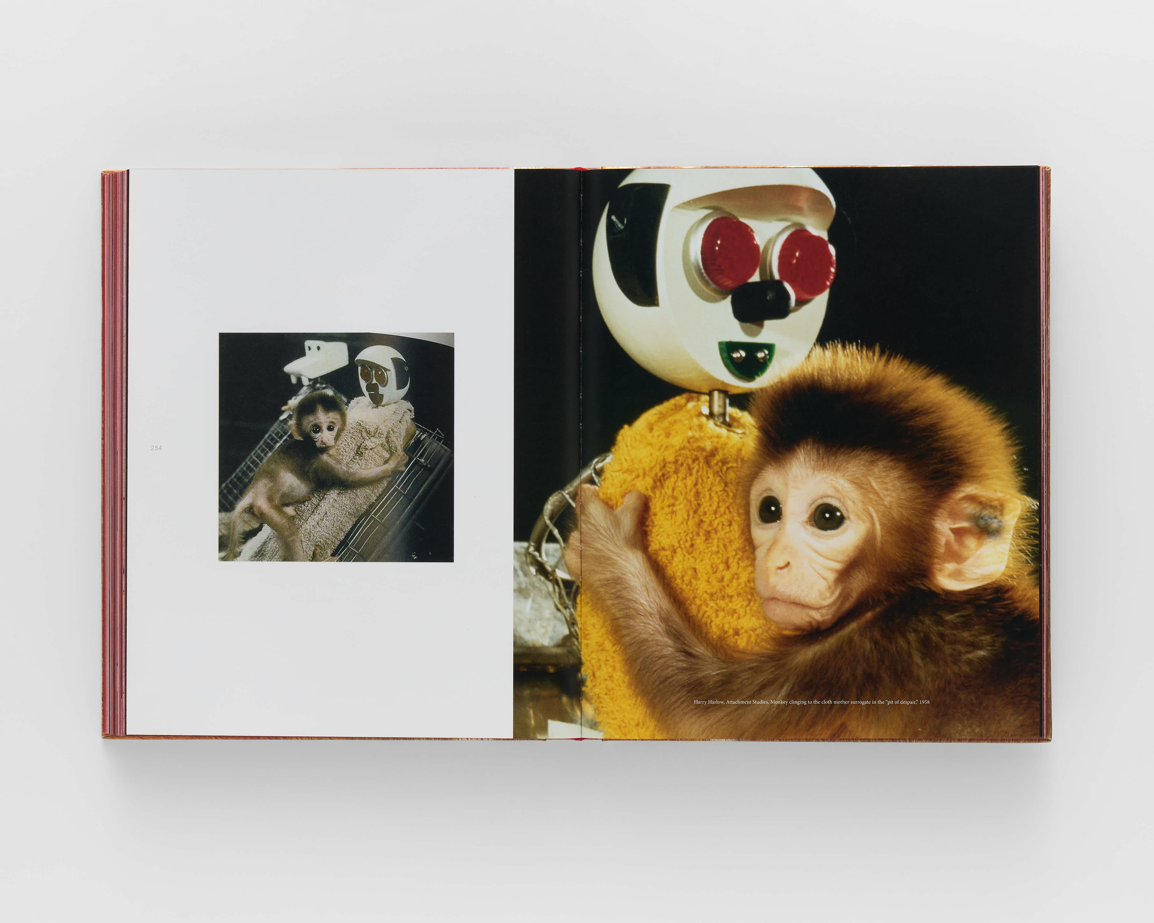 Open book with a photo of a baby monkey holding a robot on each page. On the left page the photo is centered amidst a white background. The image on the right page is full-bleed. 