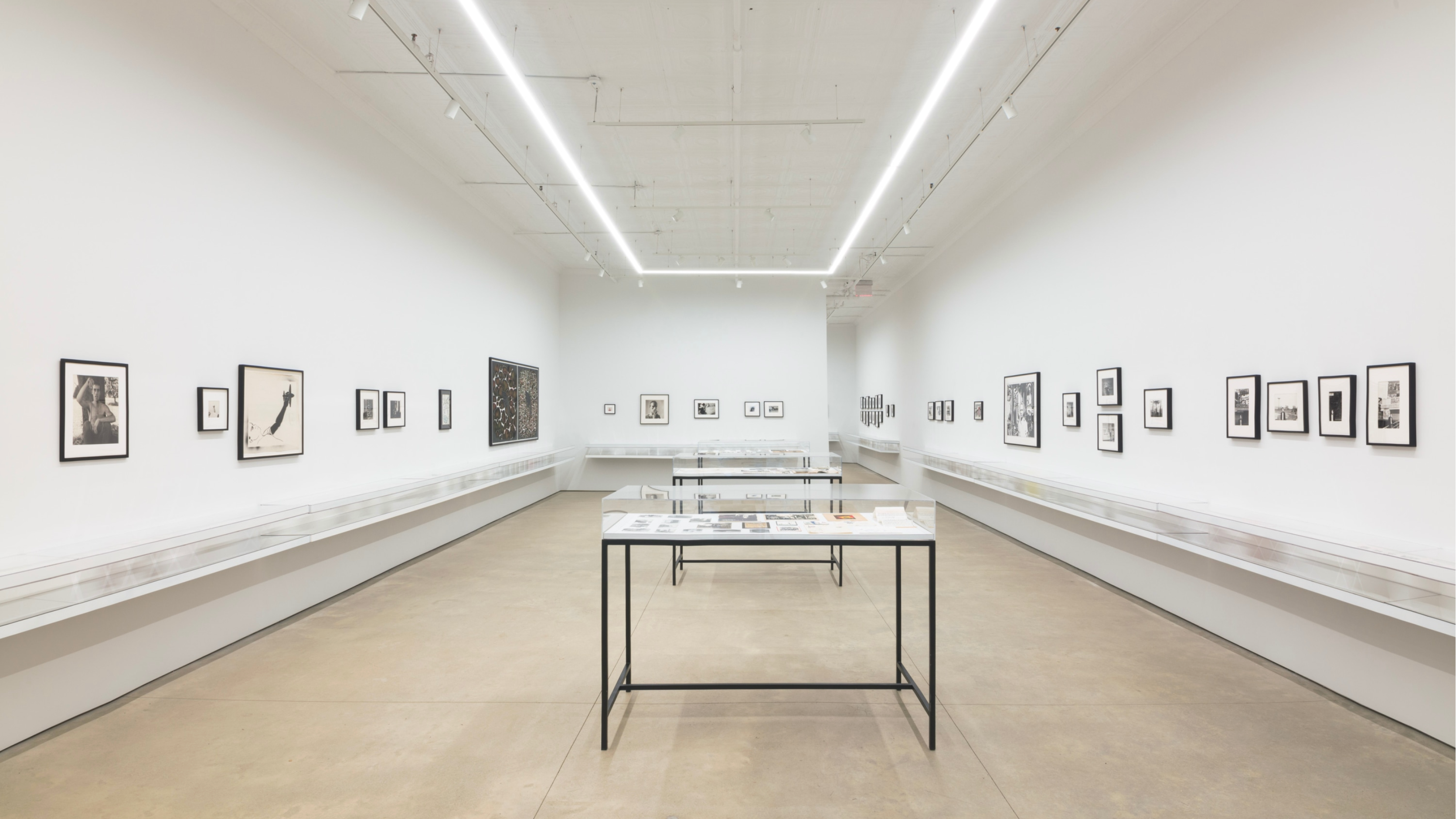 A brightly lit exhibition room with three display cases in a row, receding into the background. A self runs along all walls in the room. Above the shelf the white walls are covered in framed works.