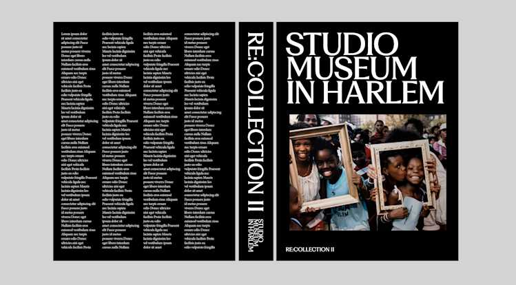 Studio Museum in Harlem Publication Examples