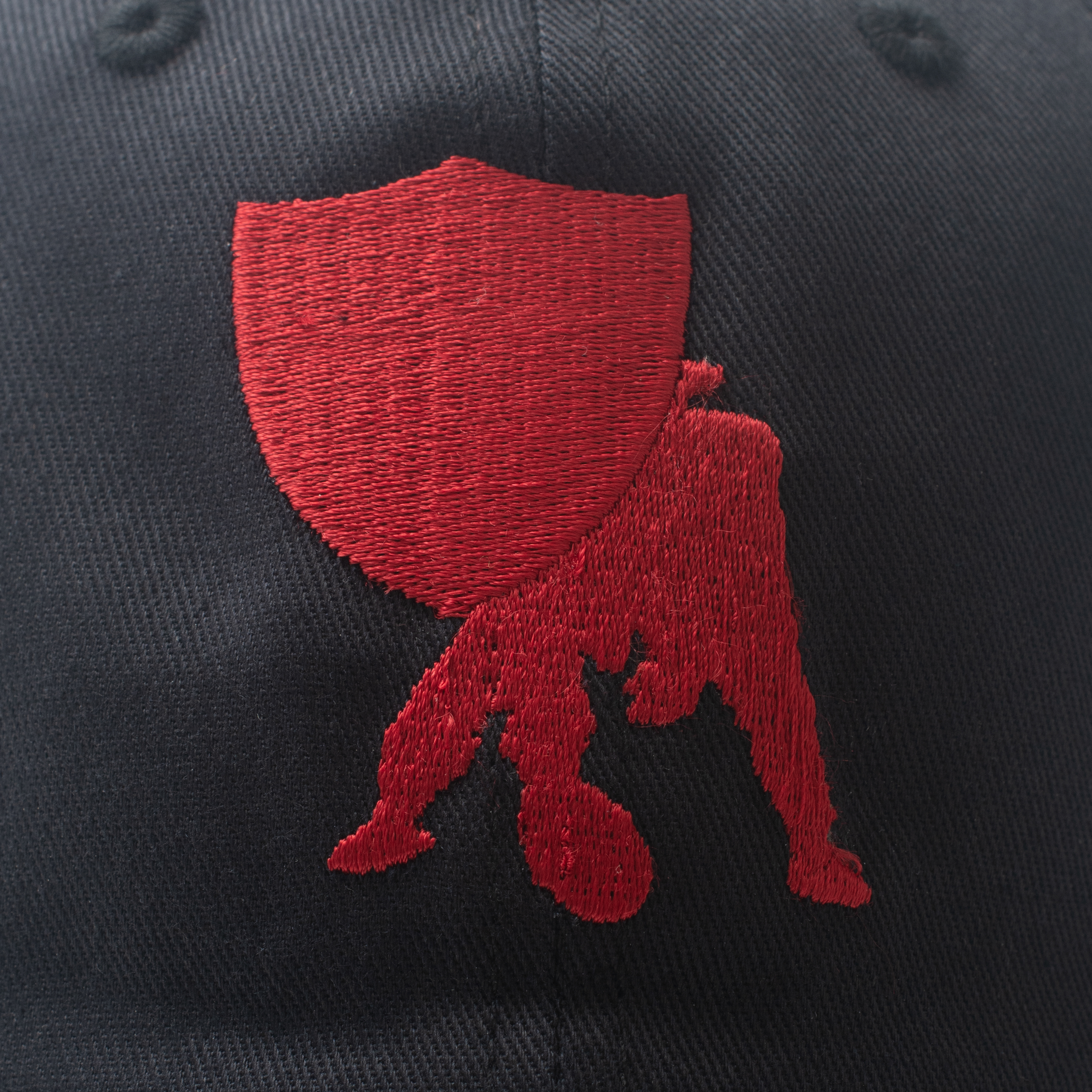 Close up Image of a navy blue hat with a red logo.