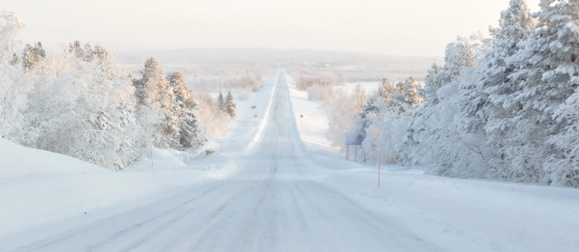 A road through forest and fields in the winter