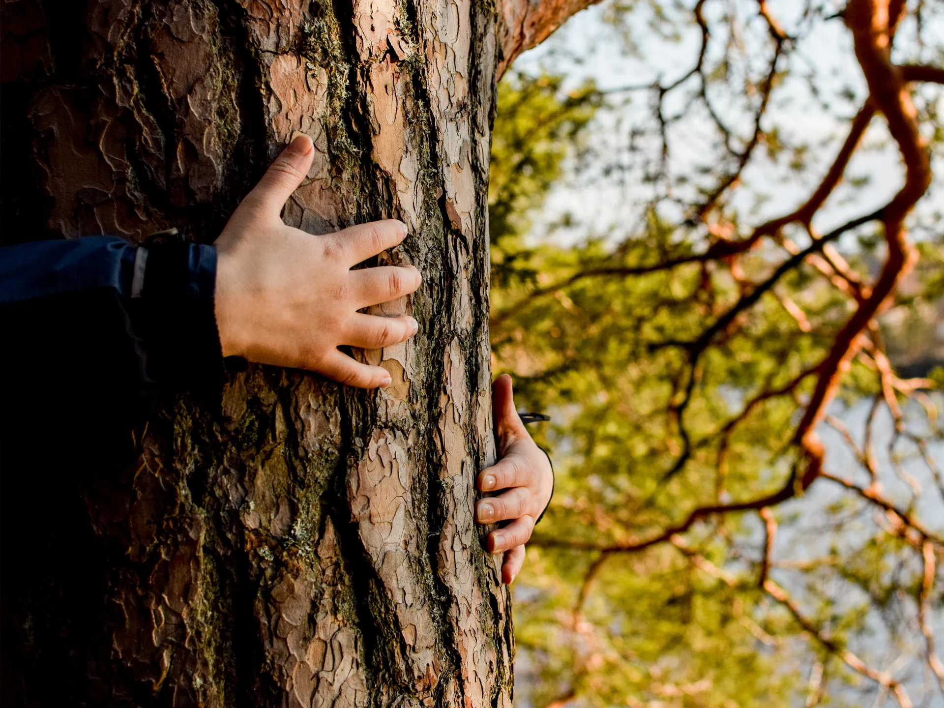 Juna kuljettaa sinut nauttimaan luonnosta.