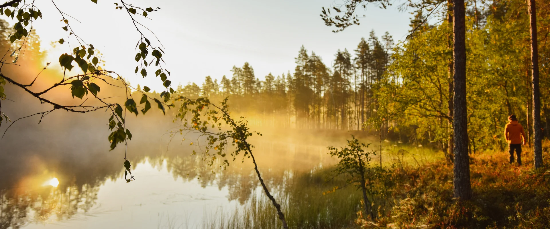 Syksyinen luontomaisema, jossa näkyy pieni usvan peittämä lampi ja auringonnousu.
