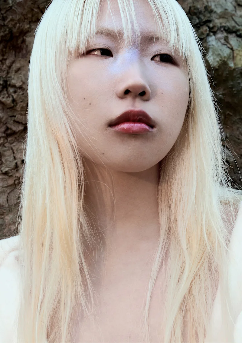 Shan portfolio 2