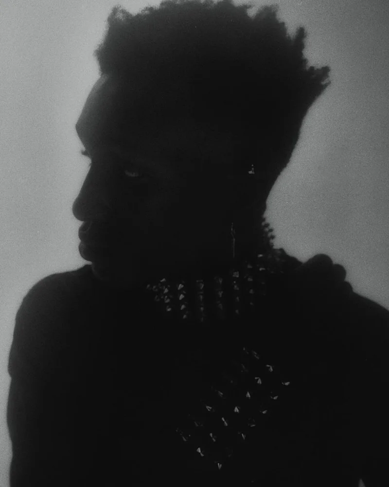 Daniel D portfolio 19