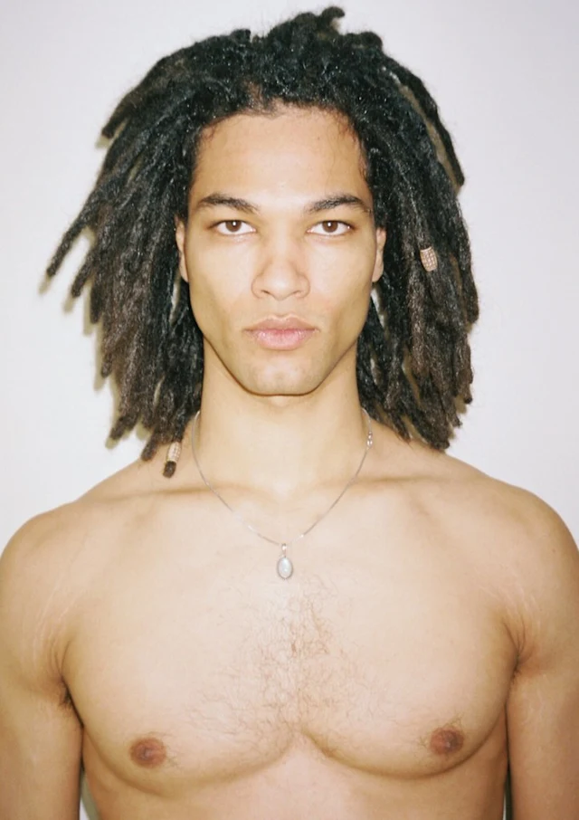david