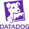 Datadog Metrics