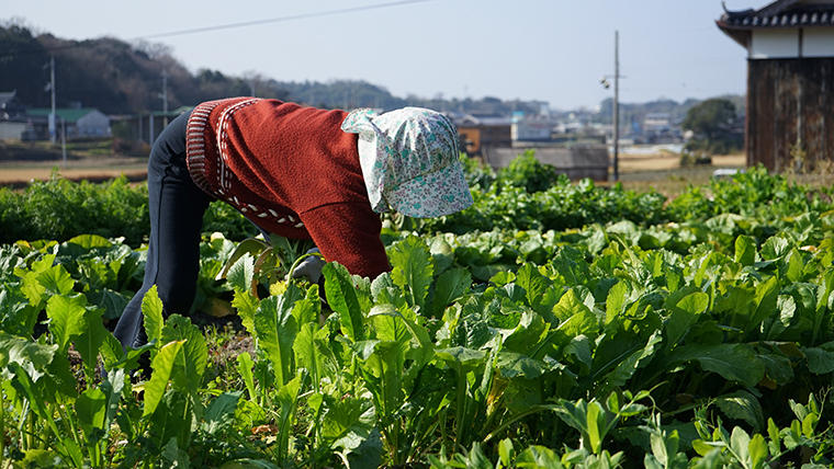 農業は、数多くの課題を抱えている
