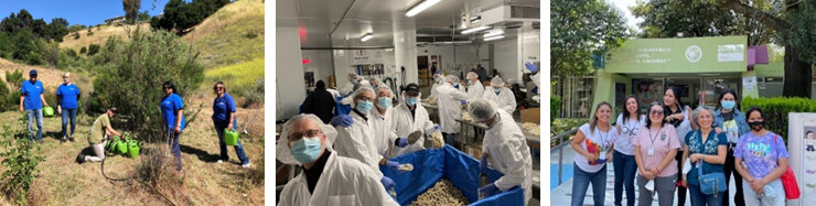 米州でのボランティア活動レポート