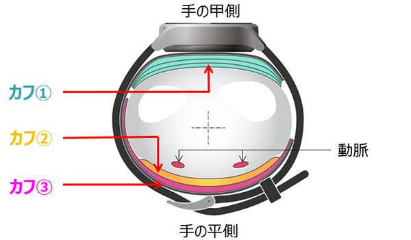 カフ構造の断面図