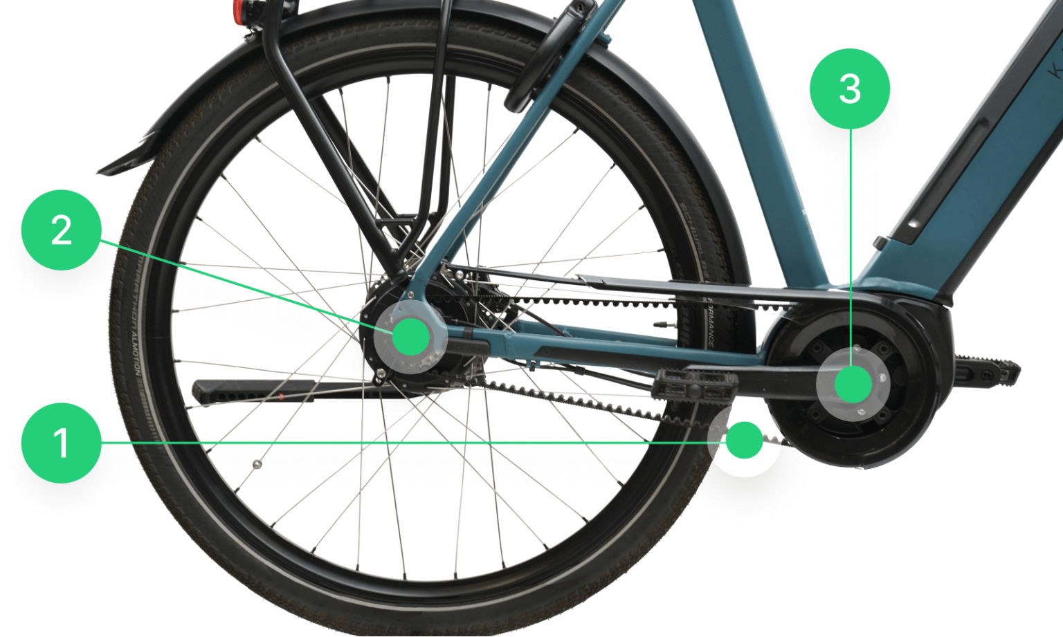 Similar to the conventional drivetrain, the belt drive on an e-bike consists of the belt (1), the rear cog (2) and the front belt ring (3)