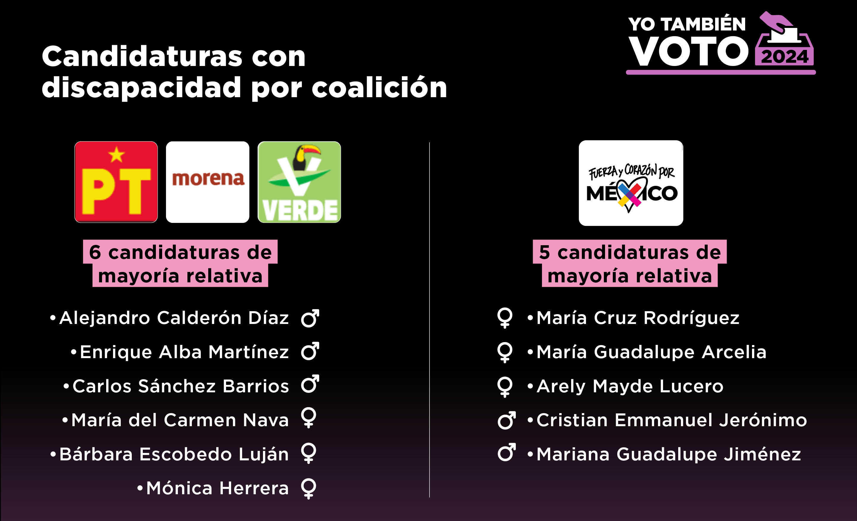 Candidaturas de personas con discapacidad por coalición durante las Elecciones 2024