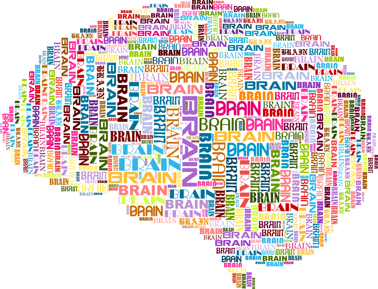 Gráfico de un cerebro construido con la palabra Brain en diferentes tamaños y colores