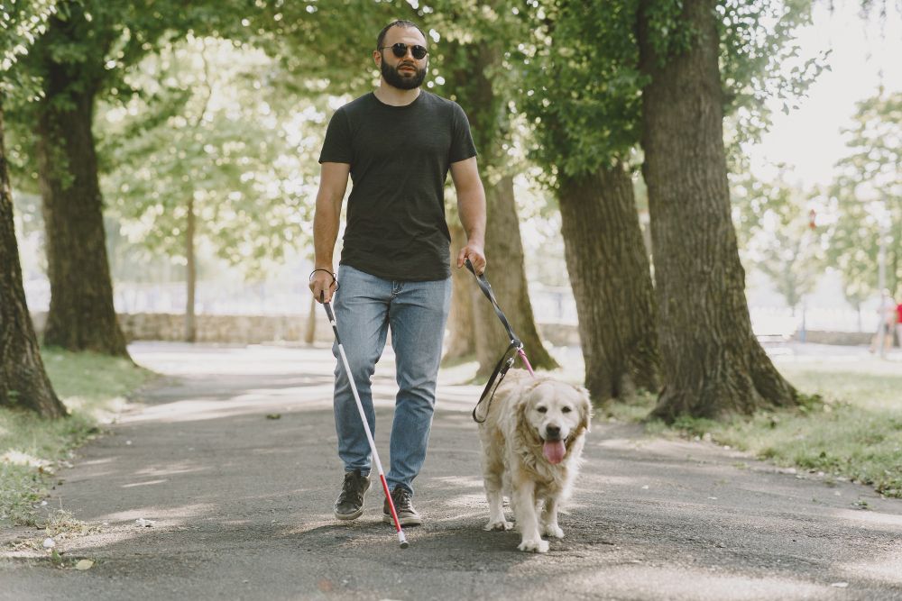 Fotografía de una persona con ceguera caminando con su bastón y un perro guía.