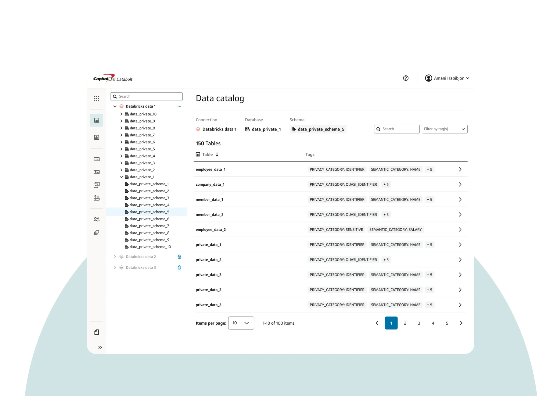 Capital One Databolt dashboard showing a Databricks database catalog with tables classified by semantic and privacy tags.