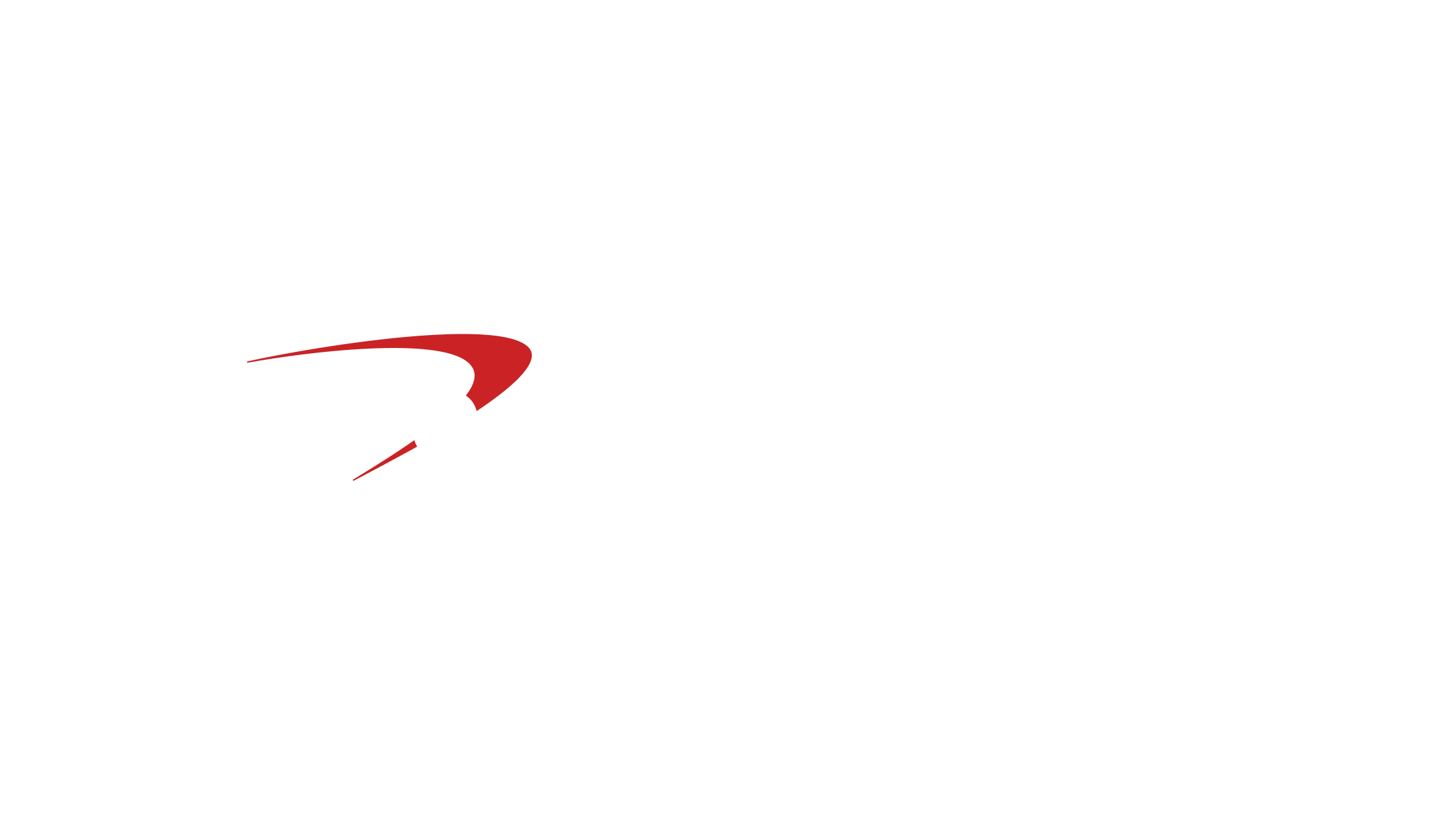 Databolt logo next to icon of lined paper