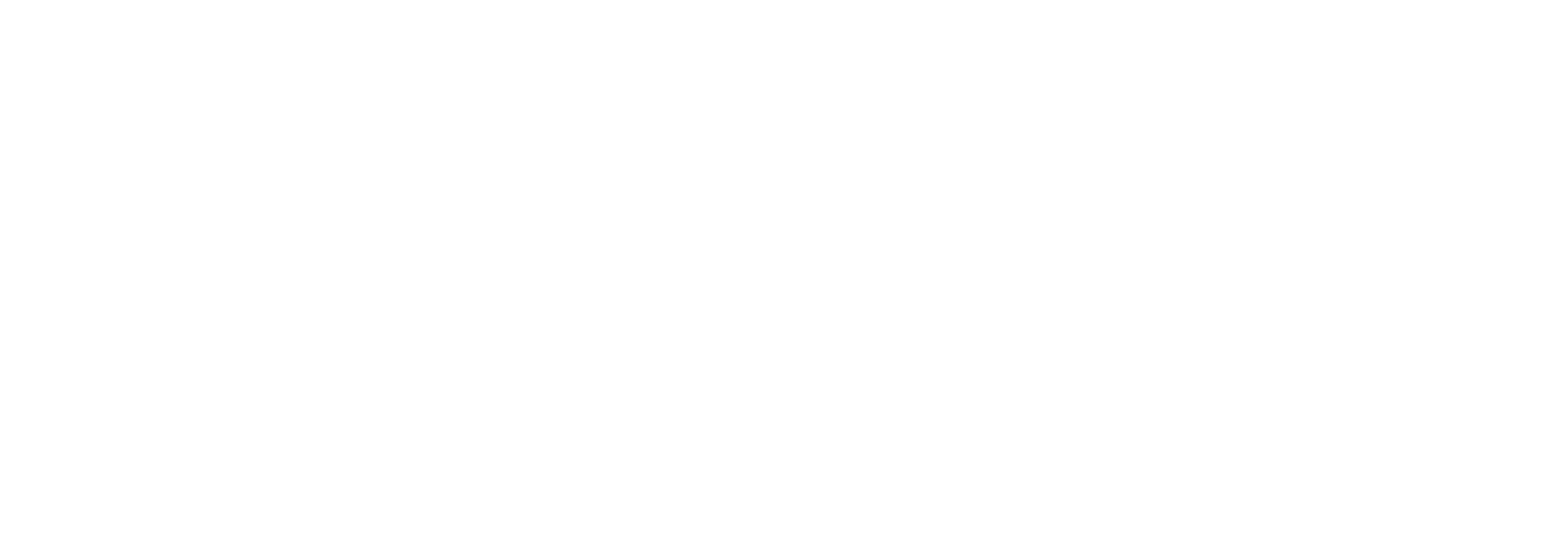 White Asics logo