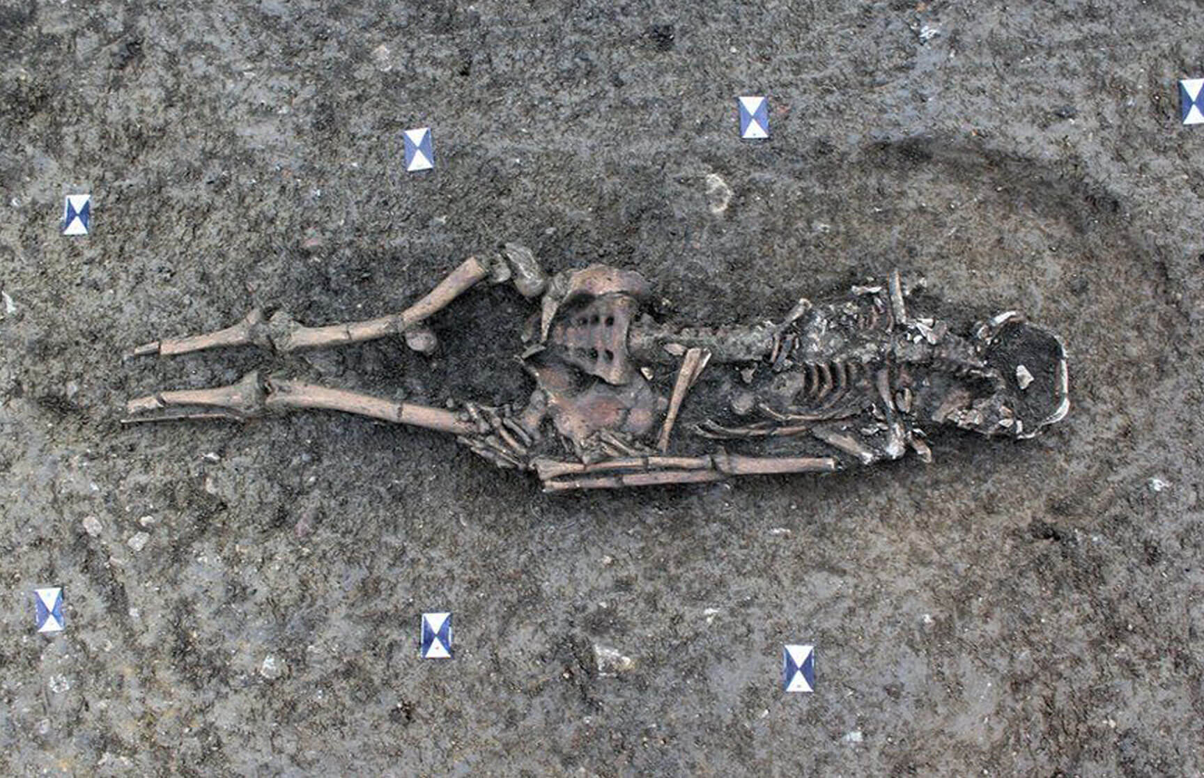 EcoPark-Website-Phase1-RomanDig-Hero1-v1