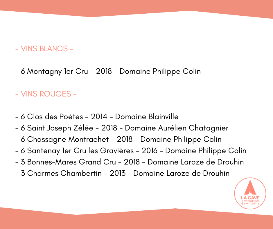 VINS BLANCS copie