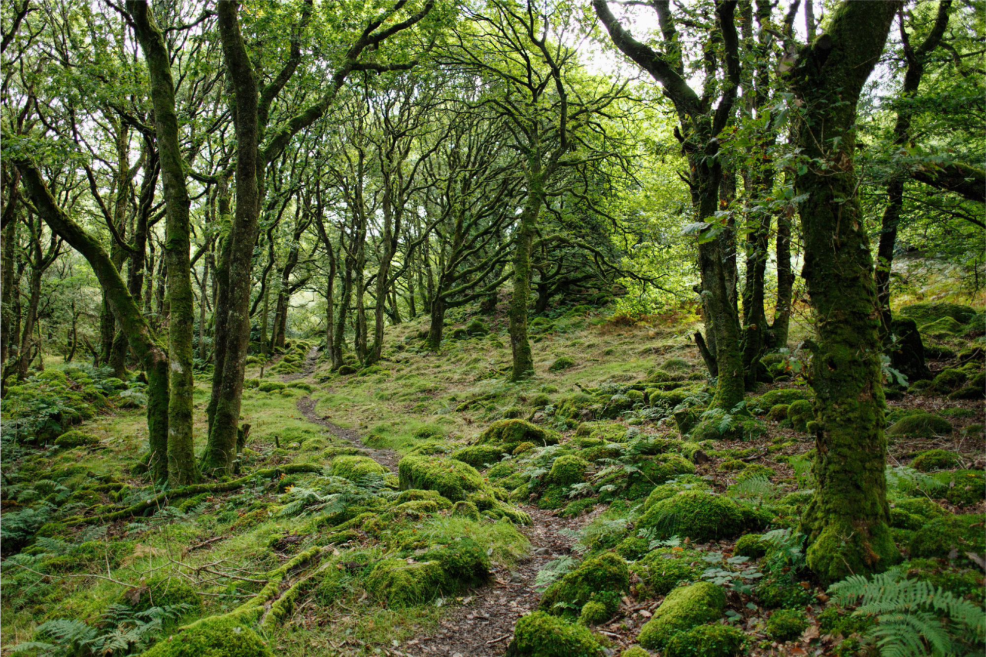 L arche de la nature to discover during your stay in our hotel