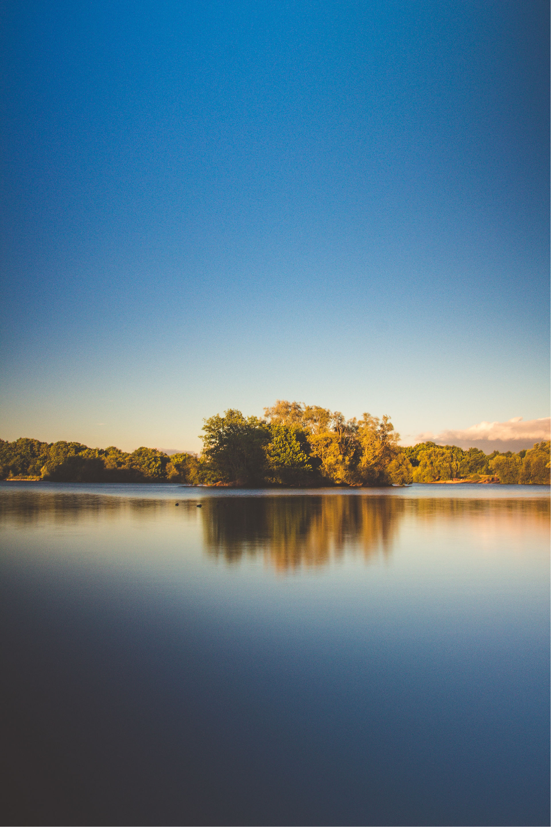 Les lacs de la forêt d'Orient