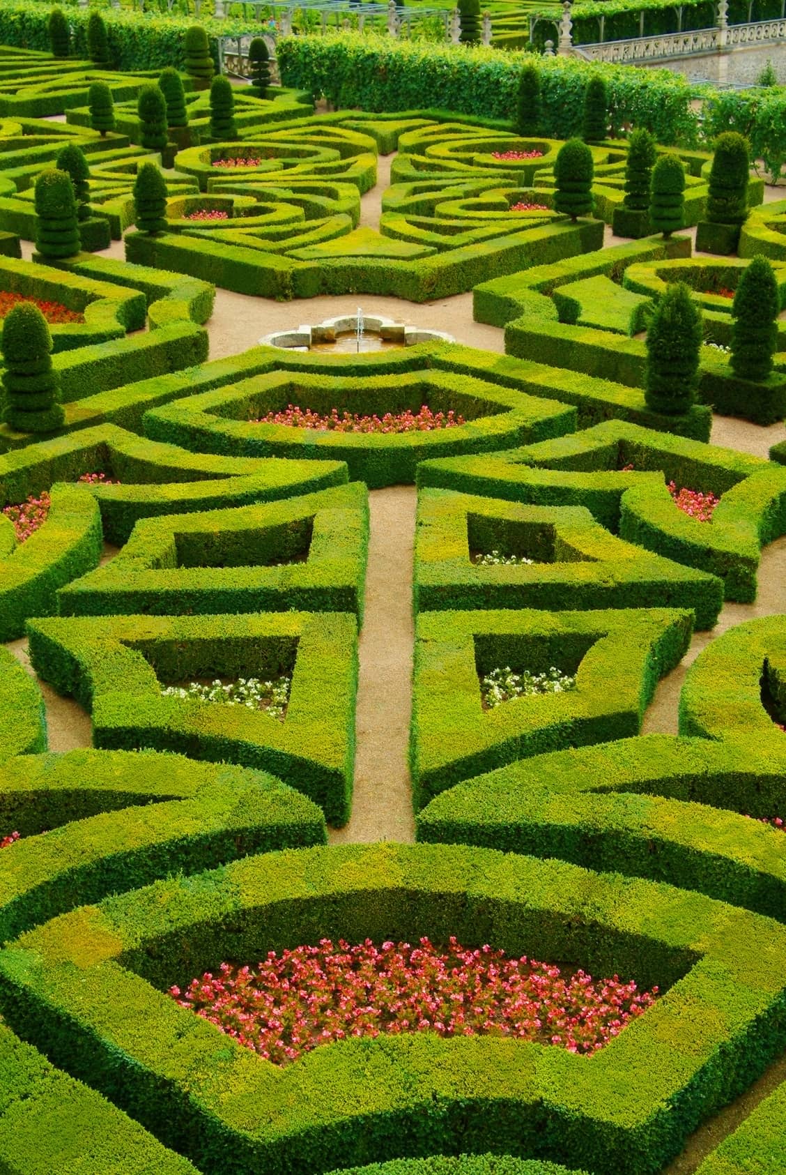 The gardens of the Château de Villandry