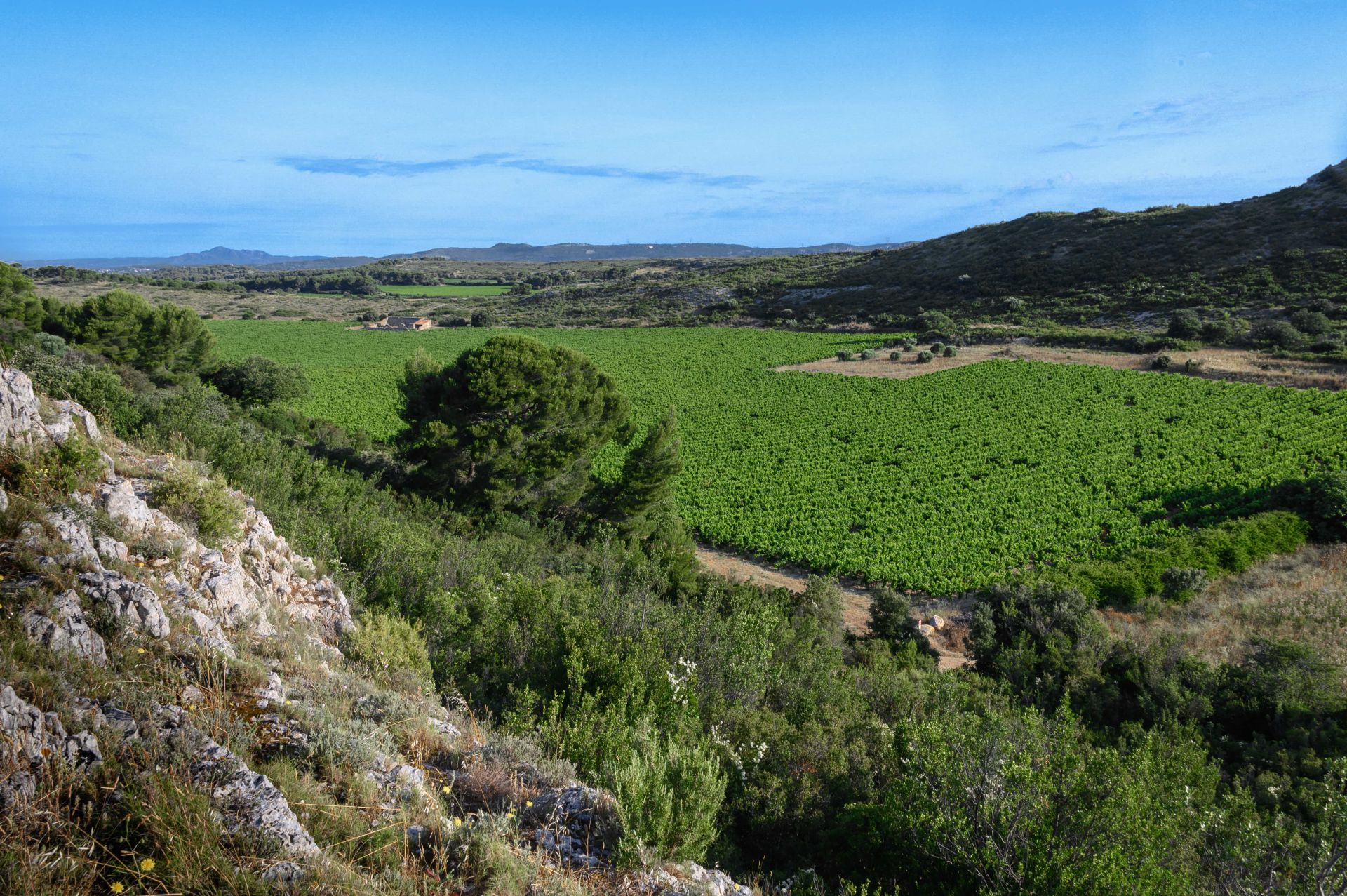 Domaine de la Cadenière