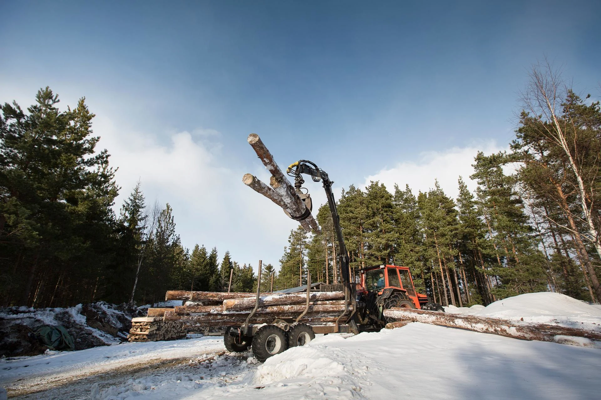 Metsäkone työssä