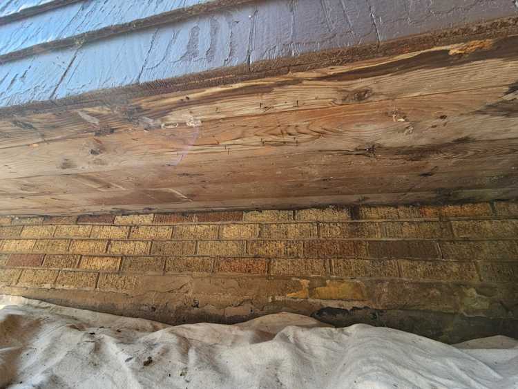 windowRestorationGal4