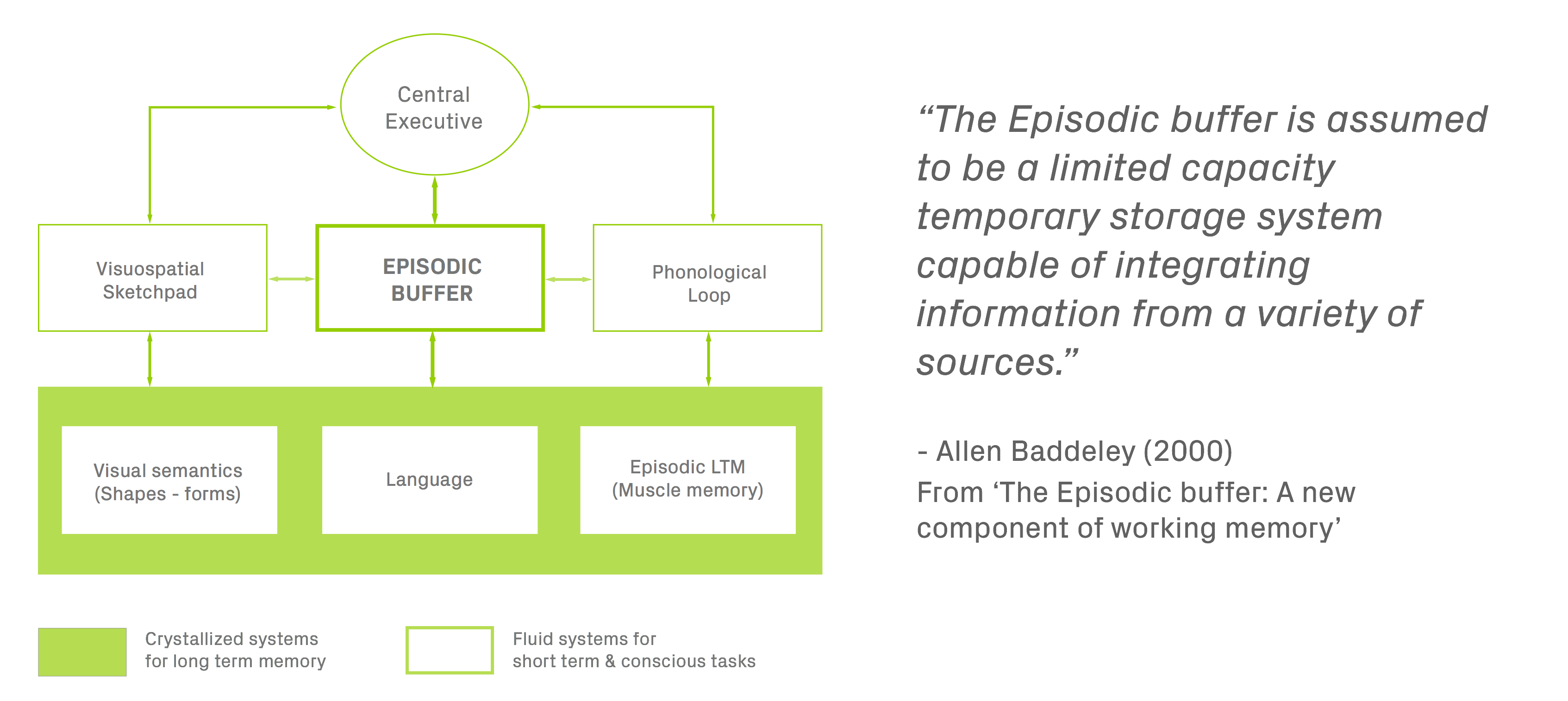 Working-memory-model-redone2