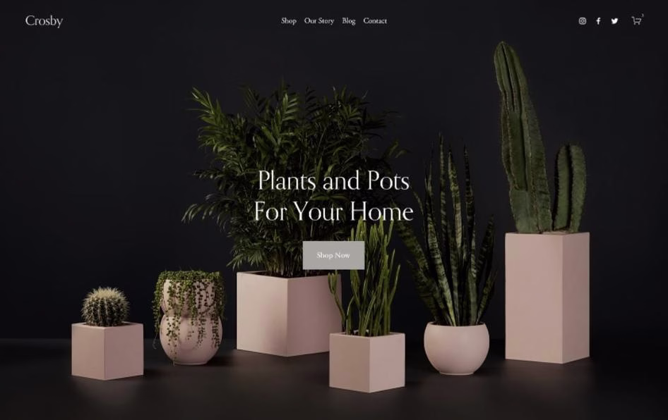 [Visual] Squarespace