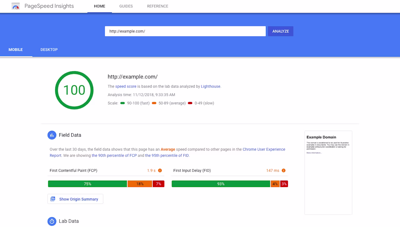 [Visual] Google PageSpeed Insights