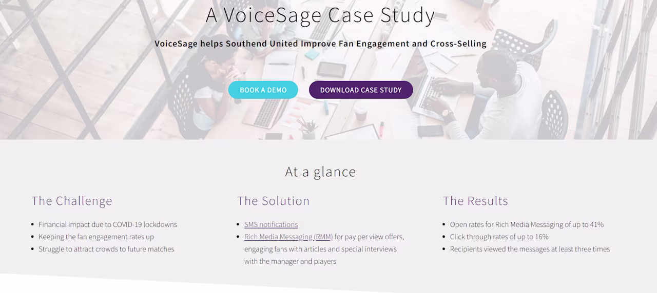[Visual] VoiceSage case studies 