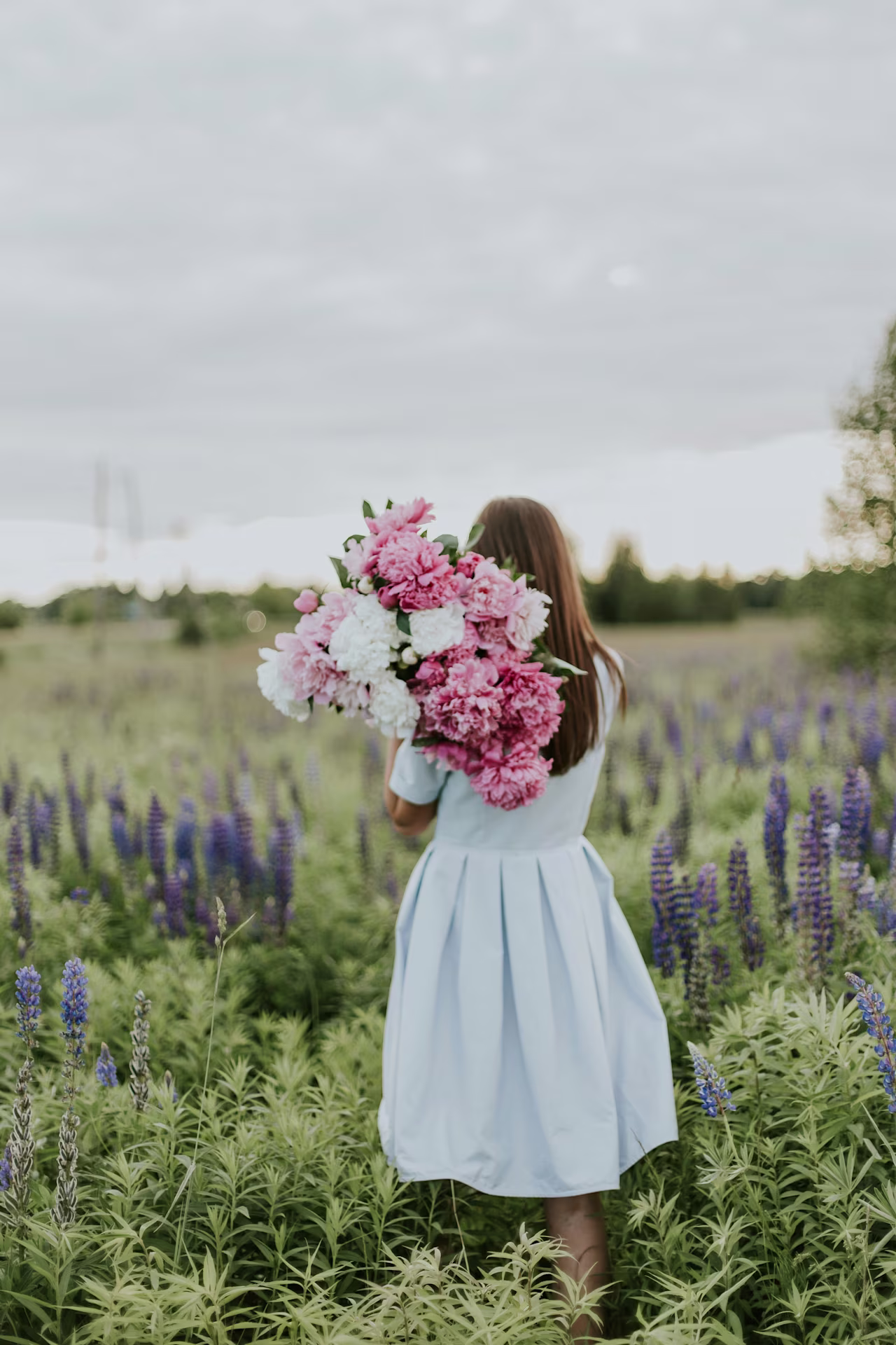 [Asset] Customer story - Bloom & Wild cover image 