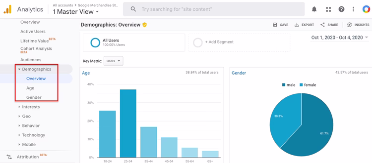 google-analytics-demographic-audience-report.width-750