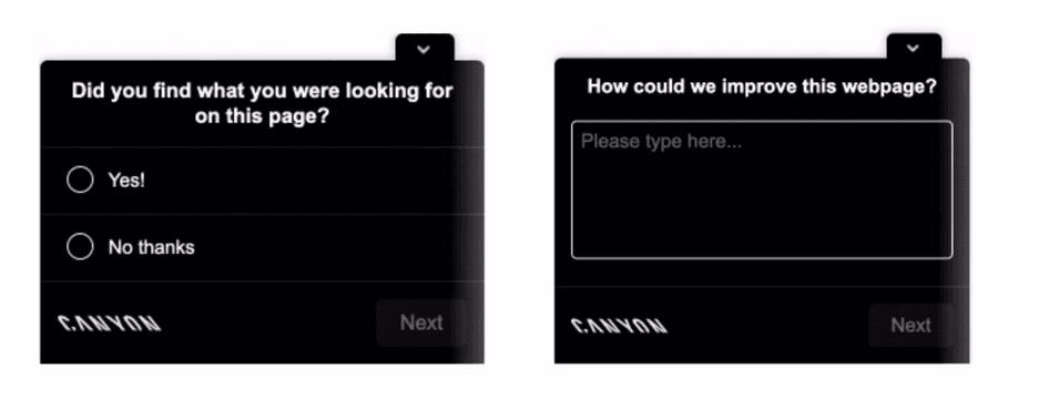 Customer Story - Canyon - Image 4 (Content testing survey)