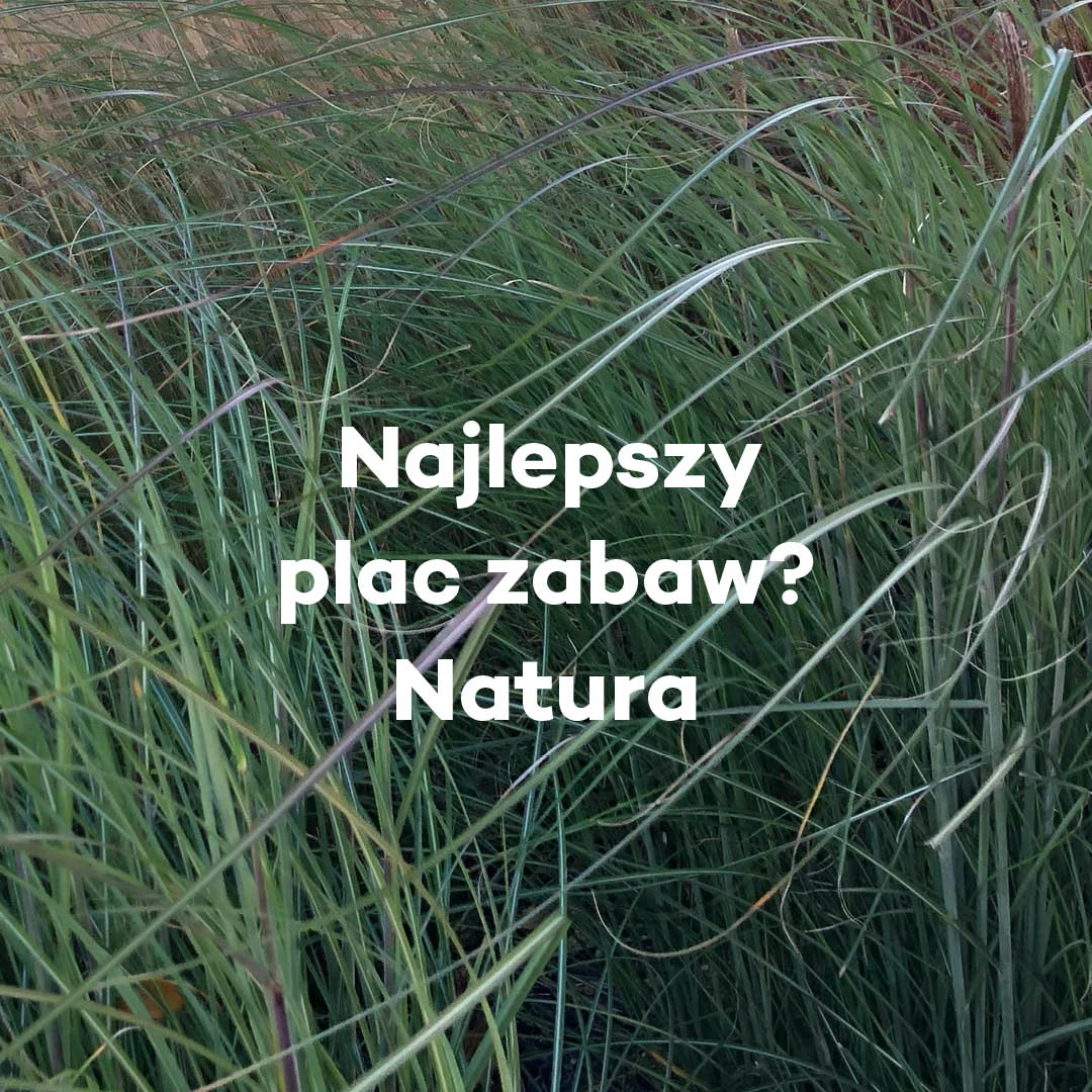 Active slogans PL V1