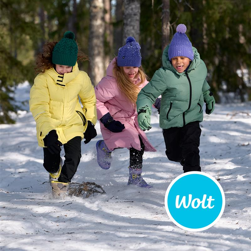 Wolt winter image.png