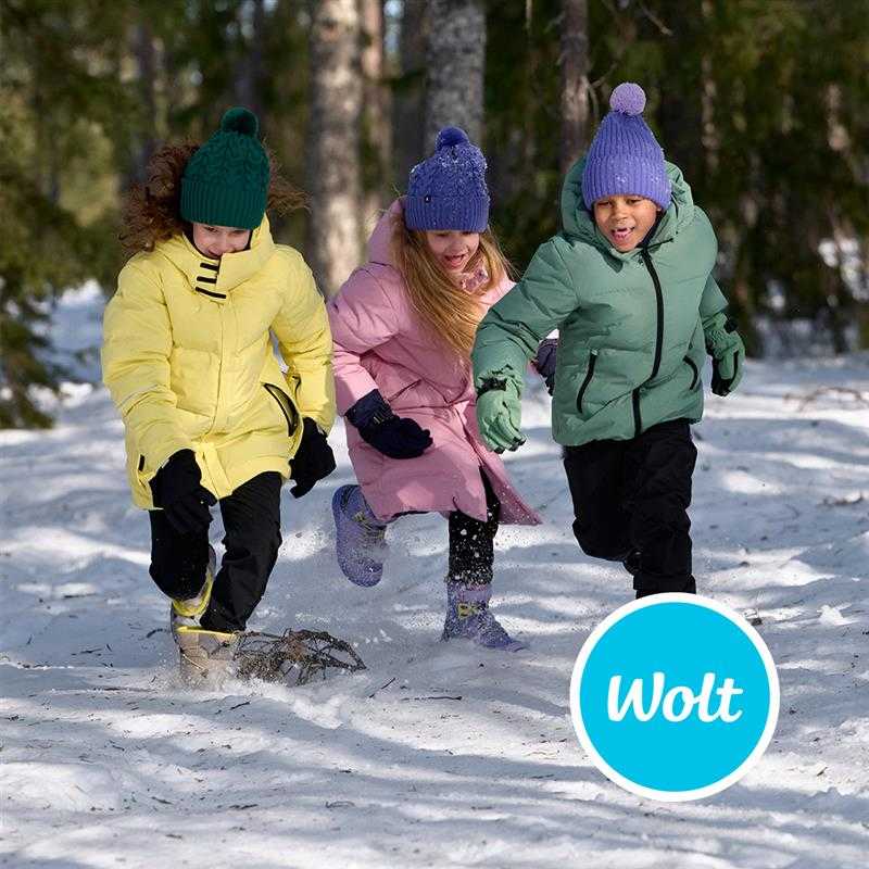 Wolt winter image.png