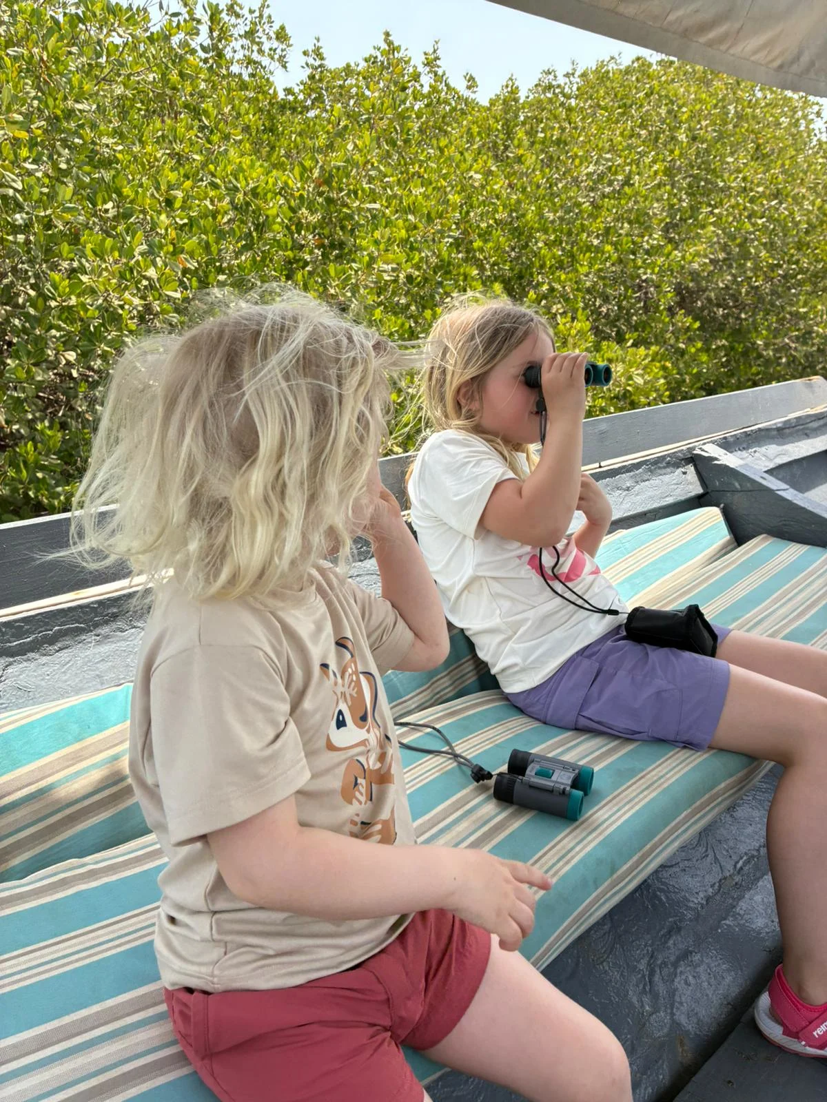 Alexander_Read_summer_images